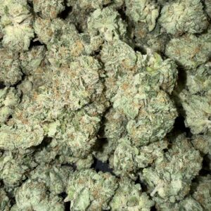 "Agua De Pina" (Indoor)  (Sativa/Hybrid) -Above Top Shelf- By: (Green Gold)