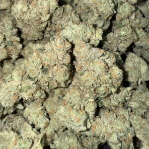 "BananaZ" (Indoor)  (Indica/Hybrid) -Above Top Shelf- By: (Green Ridge)