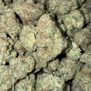 "GDP x 41" (Indoor)  (Indica/Hybrid) -Above Top Shelf- By: (Green Ridge)