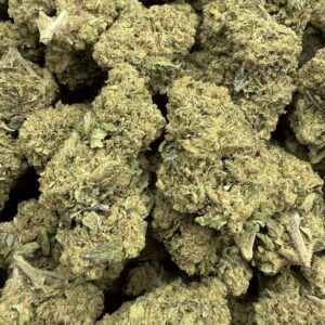 "Jet Fuel Gmo" (Sungrown) (Hybrid)