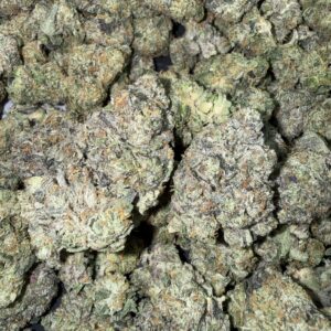 "Yellow Mermaid" (Indoor)  (Hybrid) -Above Top Shelf- By: (Green Gold)