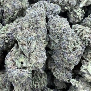 "Purple Mango" (Sungrown) (Hybrid)