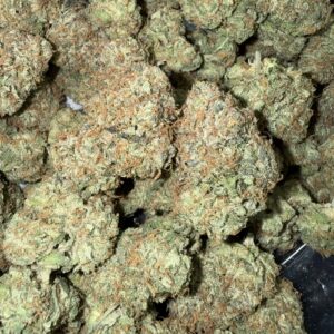 "Starburst 36" (Indoor)  (Hybrid) -Above Top Shelf- By: (Green Gold)