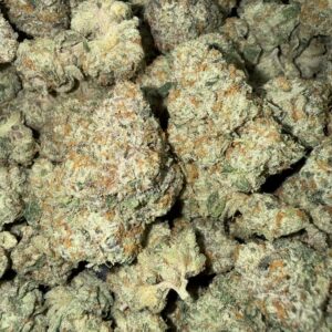 "This is Permanent" (Indoor)  (Hybrid) -Above Top Shelf- By: (Green Ridge)