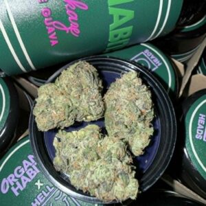 "White Kamikaze" (Indoor) (Hybrid) 1/4 Jars -Above Top Shelf- By: (OrganicHabits)