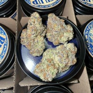 "Bleu Up" (Indoor)  (Indica/Hybrid) -Above Top Shelf- By: (Wizard of Obs)