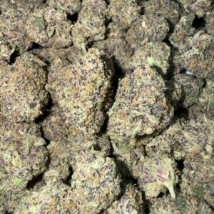 "Catnip" (Indoor)  (Indica/Hybrid) -Above Top Shelf- By: (Green Gold)