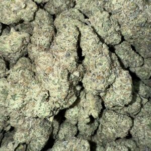 "Girl Scout Cookies" (Indoor)  (Indica/Hybrid) -Above Top Shelf- By: (Green Gold)