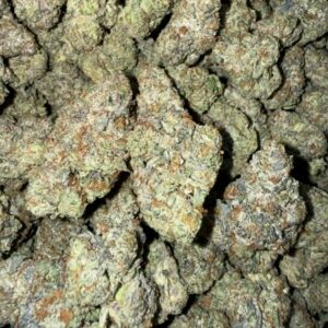 "Lobster Butter" (Indoor) (Indica/Hybrid)